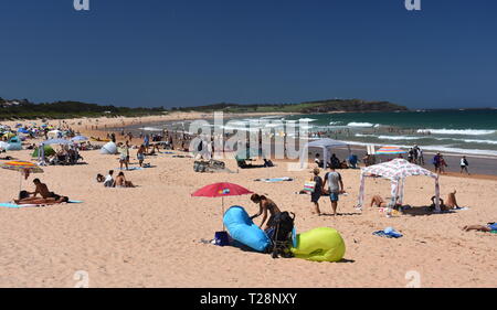 Sydney, Australien - Feb 3, 2019. Die Leute am Strand an einem heißen Sonntag im Sommer. Dee Why Beach, Sydney, NSW, Australien. Stockfoto