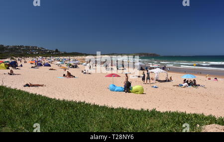 Sydney, Australien - Feb 3, 2019. Die Leute am Strand an einem heißen Sonntag im Sommer. Dee Why Beach, Sydney, NSW, Australien. Stockfoto