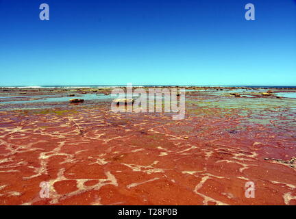 Ebbe in Long Reef Vorgewende (Sydney, Australien). Tide Pools auf dem Tasmanischen Meer bei Ebbe am nördlichen Strände von Sydney. Stockfoto