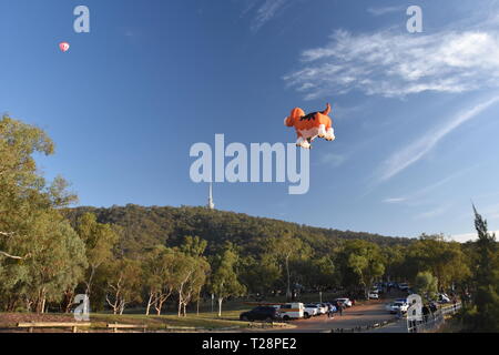 Canberra, Australien - 10. März 2019. Hund geformte Heißluftballon in der Luft über Black Mountain und Telstra Tower fliegen, als Teil des Ballons Spec Stockfoto