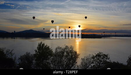 Heißluft-Ballone in der Luft über dem Lake Burley Griffin, als Teil des Ballons spektakuläre Festival in Canberra. Stockfoto