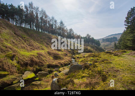 Eine Landschaft, die Aussicht auf einen Strom fließen durch die Peak Dsitrict Stockfoto