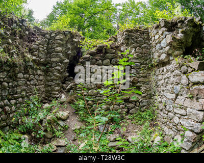 Die Ruinen einer alten Festung aus Stein in einem dichten grünen Wald im Sommer Stockfoto