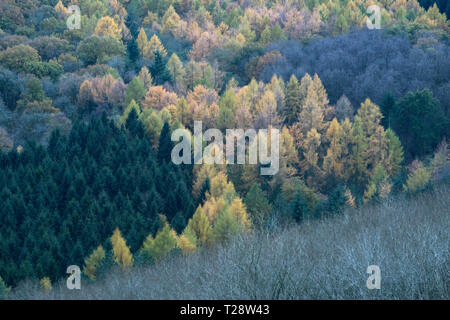 Ein Blick vom Wrekin, einem markanten Hügel in der Nähe von Wellington und Ironbridge in shropshire, England, Großbritannien. Stockfoto