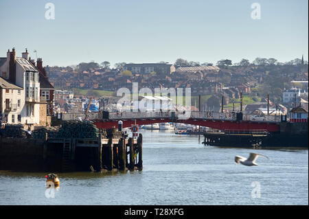 Schönen Frühlingstag am Hafen whitby, North Yorkshire, England, UK, GB. Stockfoto