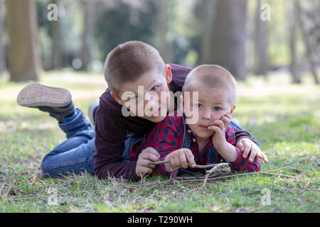 Zwei kleine blonde Brüder im Gras im Frühling Stockfoto
