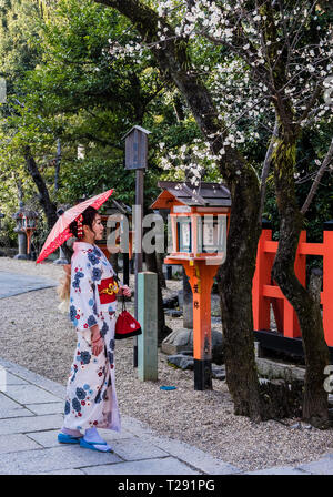 Frau in traditioneller Kleidung, Sonnenschirm, Kodaiji Tempel, Kyoto, Japan Stockfoto