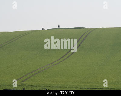 West Kennet Long Barrow, in der Landschaft in der Nähe von Avebury, Wiltshire auf einem hellen März Nachmittag Stockfoto