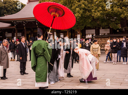 Zuschauer sehen traditionelle Hochzeit im Meiji Jingu-Schrein, Shibuya, Tokio Stockfoto