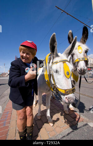 Wee Jimmy Krankie abgebildet auf einem Esel ritt auf der Promenade von Blackpool. Der veteran Komödiantin und Entertainerin wurde die Förderung von ihrem bevorstehenden zeigen die besten britischen Vielzahl Tour 2008, die auch empfohlene Frank Carson, Cannon & Ball, Paul Daniels, Bruderschaft der Menschen und Jimmy Cricket berechtigt. Die Krankies aus Mann und Frau Janette und Ian Hart und porträtiert Schüler Wee Jimmy Krankie (janette) und Jimmy's Vater (Ian), obwohl in ihrer Komödie Tat Sie schildern auch andere Zeichen. Stockfoto