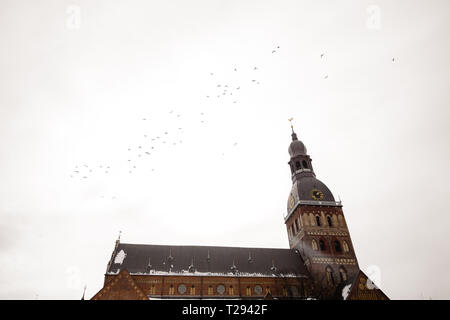 RIGA, Lettland - 13. MÄRZ 2019: Blick auf den Domplatz. Dome Square ist die größte und älteste Platz in Riga - Dom mit Vögel fliegen hoch in den Stockfoto