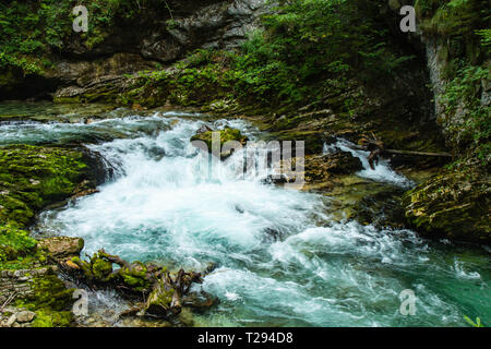 Die Schlucht Vintgar oder Bled Schlucht ist ein Spaziergang entlang der Schlucht im Nordwesten von Slowenien. Stockfoto