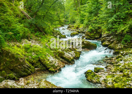 Die Schlucht Vintgar oder Bled Schlucht ist ein Spaziergang entlang der Schlucht im Nordwesten von Slowenien. Stockfoto