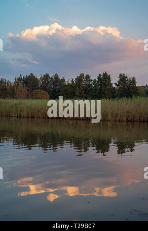 Johannesburg, Südafrika, 31. März, 2019. Der Himmel ist in Emmarentia Dam wider, wie die Sonne untergeht, Johannesburg, Südafrika. Credit: Eva-Lotta Jansson/Alamy Nachrichten Stockfoto