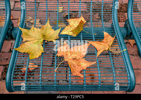 Eisen Stuhl Sitz mit schönen Herbst gelb Blätter Hintergrund Konzept Stockfoto