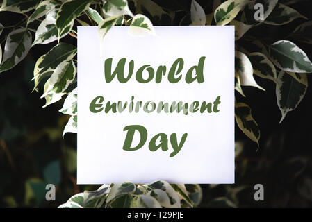 Platz papper mit World Environment Day text auf grüne Pflanze Blätter Hintergrund. Concept Card zum Thema Natur und Flora Stockfoto