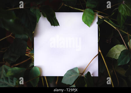 Platz papper auf dem Hintergrund der grüne Blätter von tropischen Pflanzen. Textrahmen. Konzept der eine Postkarte zum Thema Natur und Umwelt Stockfoto