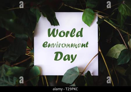 Platz papper mit World Environment Day text auf grüne Pflanze Blätter Hintergrund. Concept Card zum Thema Natur und Flora Stockfoto