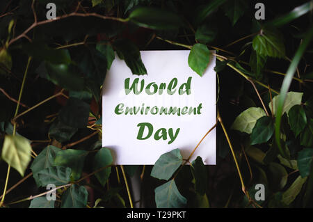 Platz papper mit World Environment Day text auf grüne Pflanze Blätter Hintergrund. Concept Card zum Thema Natur und Flora Stockfoto