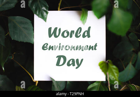 Platz papper mit World Environment Day text auf grüne Pflanze Blätter Hintergrund. Concept Card zum Thema Natur und Flora Stockfoto