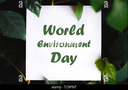 Platz papper mit World Environment Day text auf grüne Pflanze Blätter Hintergrund. Concept Card zum Thema Natur und Flora Stockfoto