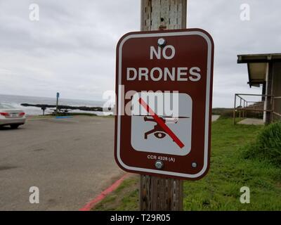 Nahaufnahme der Schild keine Drohnen, mit einer Grafik einer unbemannten Drohne Auto (UAV) durchgestrichen und einen Verweis auf Kalifornien Gesetz CCR 4326, bei Bean Hollow State Beach, Pescadero, Kalifornien, 4. März 2019. () Stockfoto