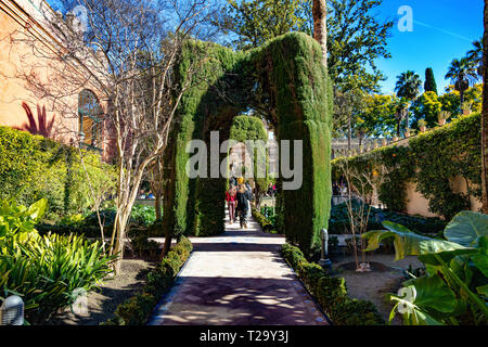 Real Alcázar de Sevilla, Andalousie, Espagne/Real Alcázar von Sevilla, Andalusien, Spanien Stockfoto