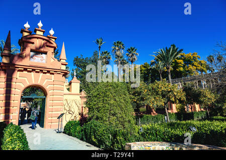 Real Alcázar de Sevilla, Andalousie, Espagne/Real Alcázar von Sevilla, Andalusien, Spanien Stockfoto