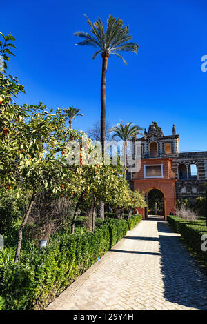 Real Alcázar de Sevilla, Andalousie, Espagne/Real Alcázar von Sevilla, Andalusien, Spanien Stockfoto