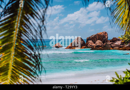 Tolle Lage für einen erholsamen Strandtag auf der tropischen Insel. Urlaub ferien Konzept. Himmlischen Ort Paradies, Traumurlaub Stockfoto