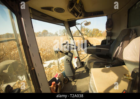 Blick auf den Bereich der Mais aus der Kabine des Mähdreschers an einem sonnigen Tag. Arbeitsplatz eines Mähdreschers. Thema ist die Agrar- und Landwirtschaft. Stockfoto