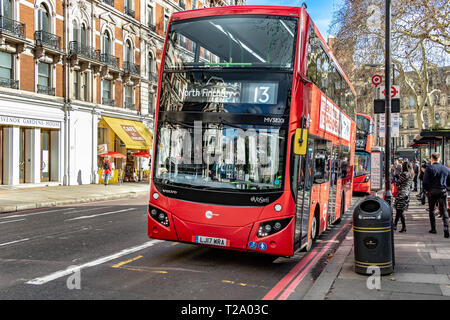 Ein London Bus Nr. 13 nach North Finchley an der Bushaltestelle Grosvenor Gardens in Victoria, London, Großbritannien Stockfoto