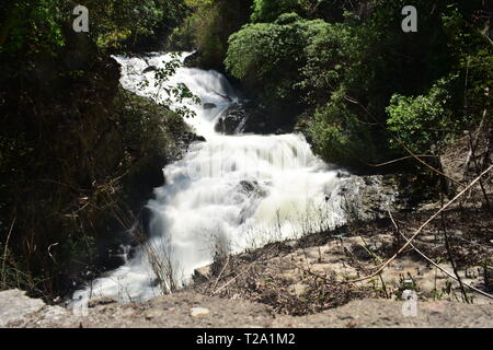 Kumily Wasserfälle auf der hügeligen Strecke von Kumily in Thekkady Stockfoto