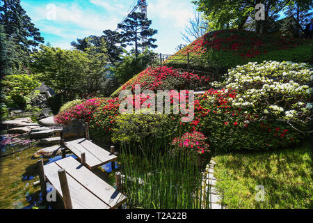 Paris Albert Kahn Park Stockfoto