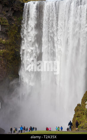 Wunderbare Aussicht auf Skogafoss Wasserfall in Island. Sonnenlicht Tag im Sommer mit Regenbogen und grüne Landschaft Stockfoto