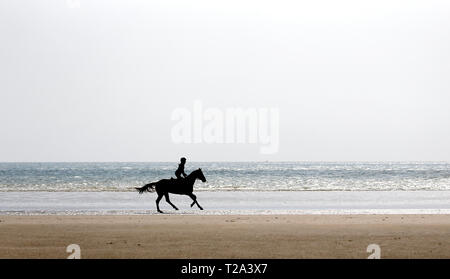 Eine Reiterin genießt eine Fahrt am Strand im Camber, Sussex, die kälteren Temperaturen in den kommenden Tagen prognostiziert. Stockfoto