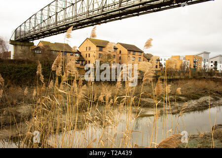 Fluss Darent in Dartford Stockfoto