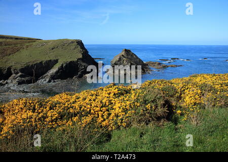 Porth Mear, North Cornwall, England, Großbritannien Stockfoto