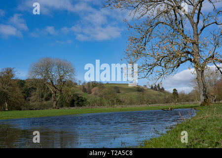 Nach heftigem Regen wurde ein Bauernfeld, umgeben von einem blattlosen Baum, Nidderdale, North Yorkshire, England, Großbritannien, überflutet. Stockfoto