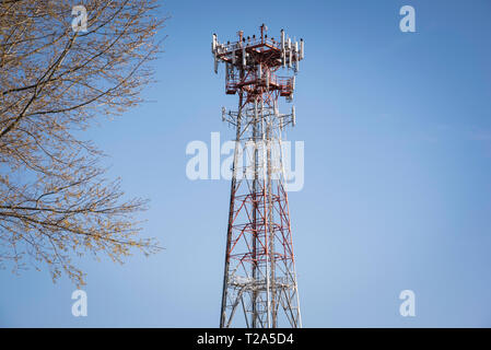 Ein unabhängiger Handy-Metallturm, der einem Teil eines Baumes gegenübergestellt und vor einem klaren, blauen, wolkenlosen Himmel aufgestellt ist. Stockfoto