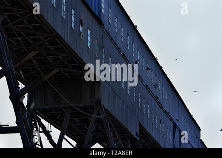 Anghel Saligny Silos an maritimen Hafen Constanta, Rumänien Stockfoto