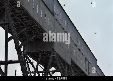 Anghel Saligny Silos an maritimen Hafen Constanta, Rumänien Stockfoto