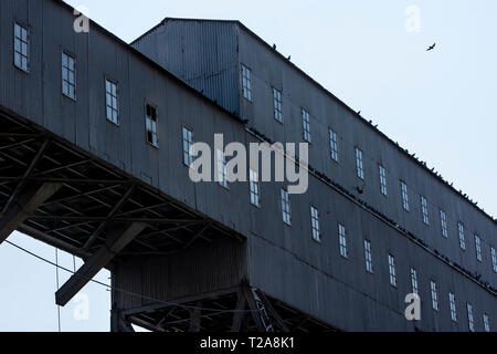 Anghel Saligny Silos an maritimen Hafen Constanta, Rumänien Stockfoto