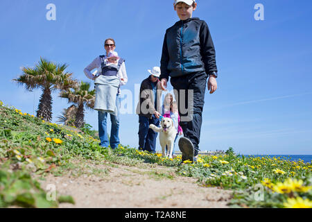 Eine Familie und ihrem Hund zu Fuß entlang der Promenade, Sea Point, Kapstadt. Stockfoto