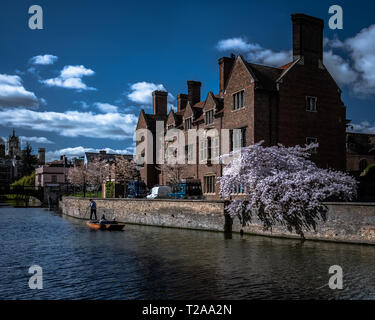 Cambridge, UK: Menschen Stochernd auf der Cam Fluss im Frühjahr. Stockfoto