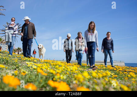 Eine Familie und ihrem Hund zu Fuß entlang der Promenade, Sea Point, Kapstadt. Stockfoto