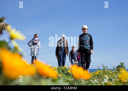 Eine Familie und ihrem Hund zu Fuß entlang der Promenade, Sea Point, Kapstadt. Stockfoto