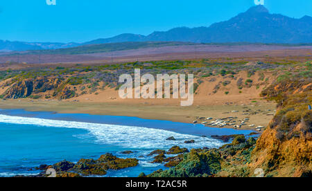 Blick nach unten vom felsigen Klippen am Sandstrand mit Dichtungen Festlegung in den warmen Sand unter einem blauen Himmel. Wellen auf die Felsen unterhalb, Cove zu brechen. Stockfoto