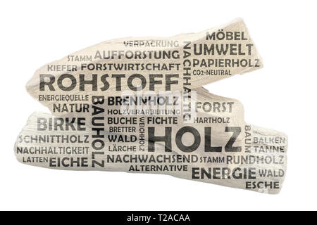 Wort Wolke mit hellem Holz als Hintergrund und Dunkle relevanten deutschen Keywords zum Thema Rohstoff Holz Stockfoto