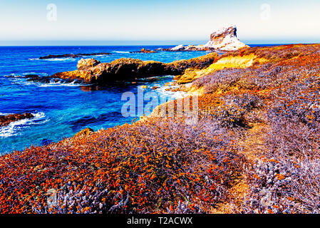 Wanderweg durch bunte Herbst Felder neben den blauen Ozean mit Wellen auf die Felsen brechen. Stockfoto